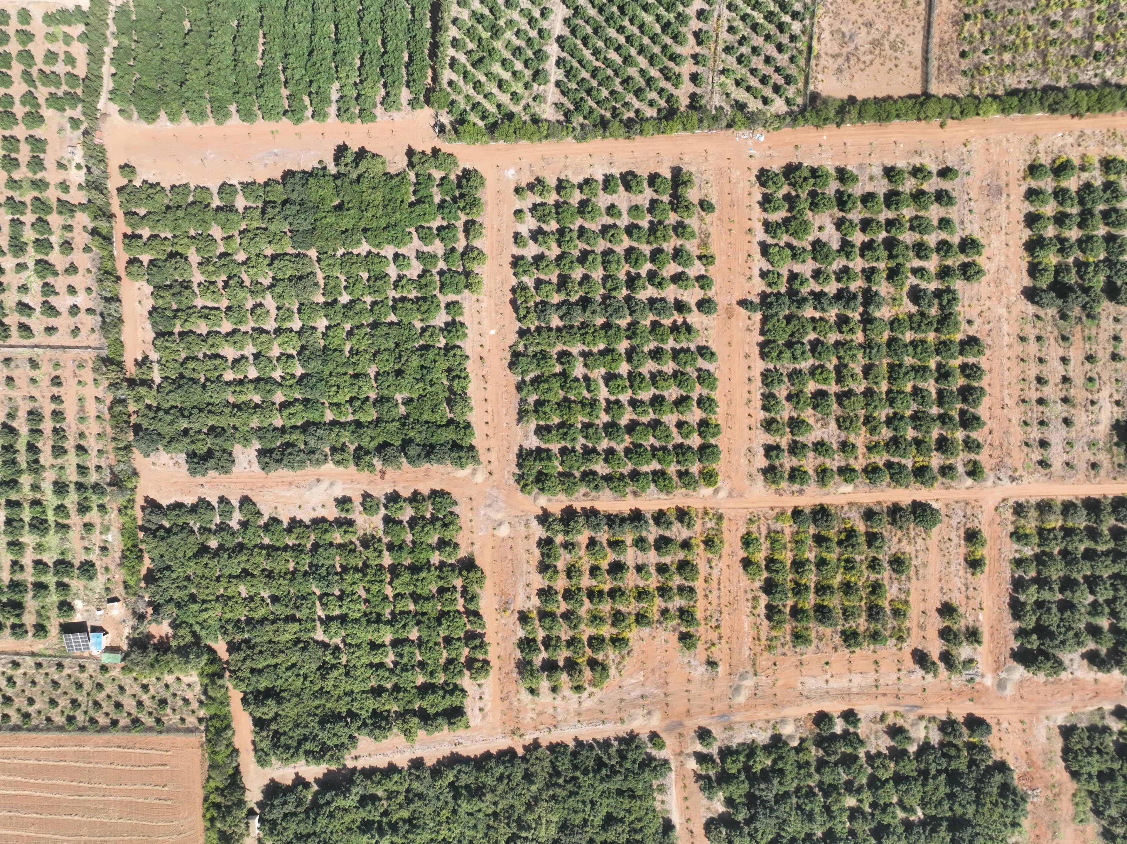 Built from Morocco's agricultural strength for international avocado markets.