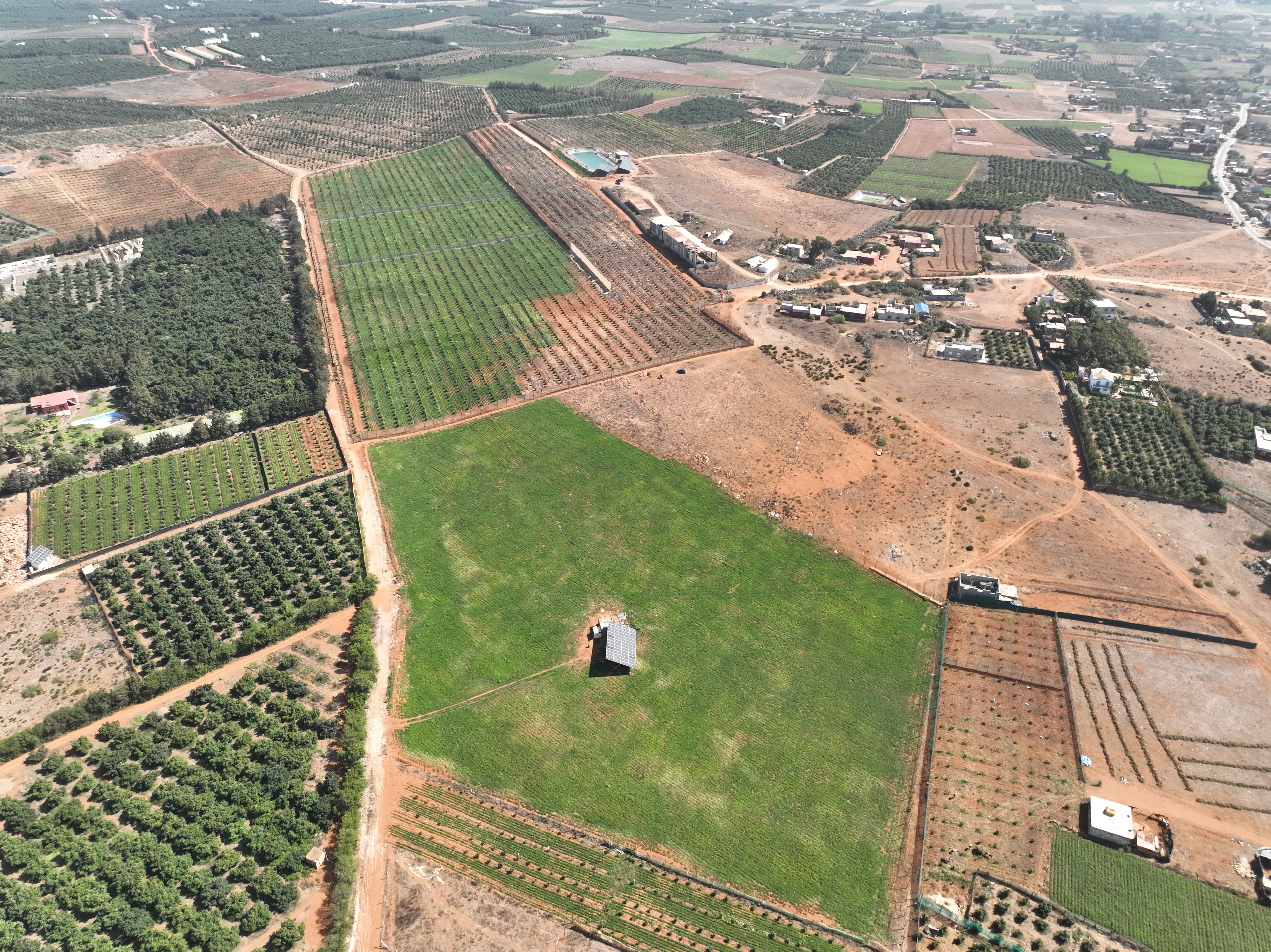 Built from Morocco's agricultural strength for international avocado markets.