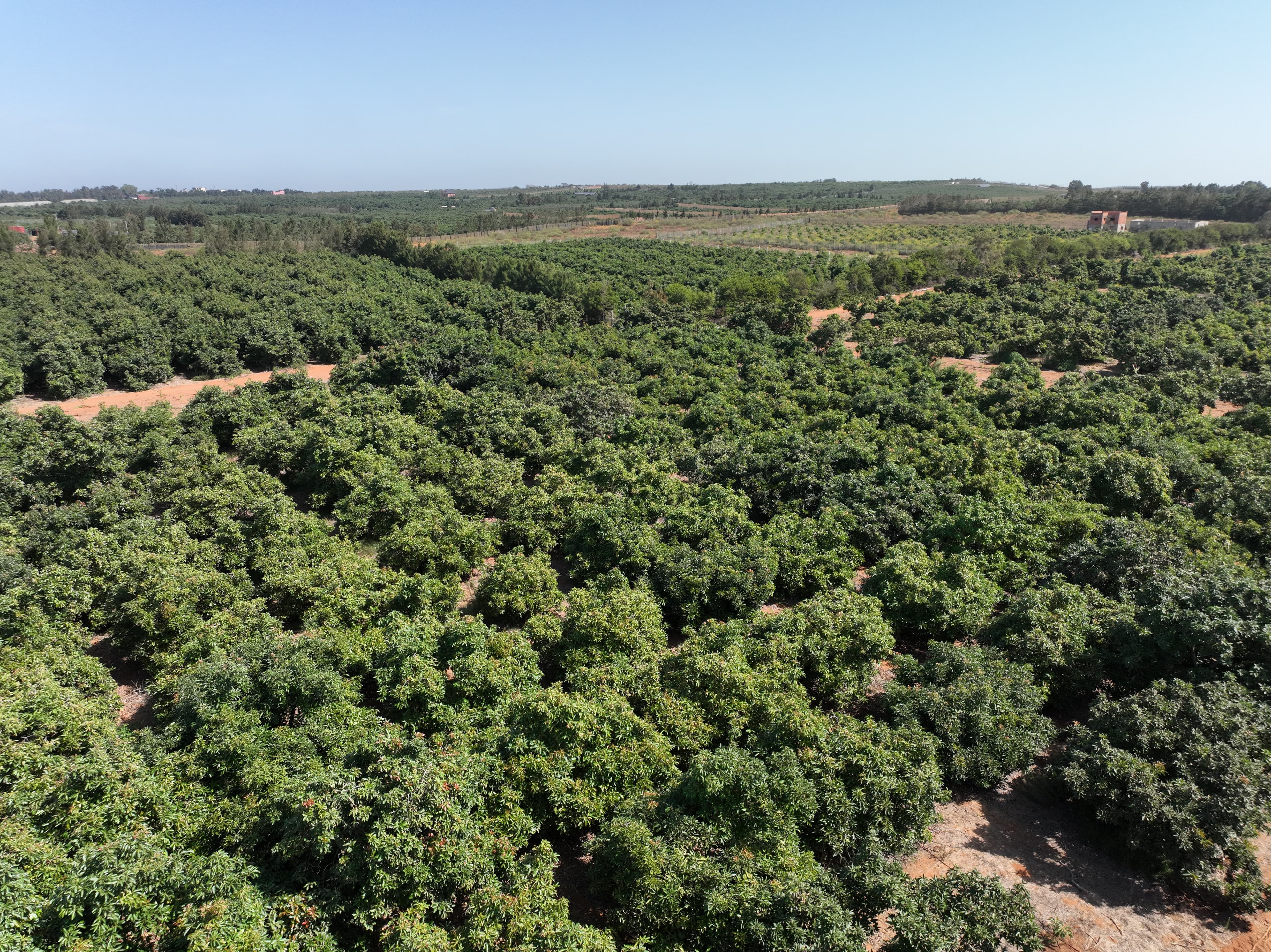 Farms & orchards