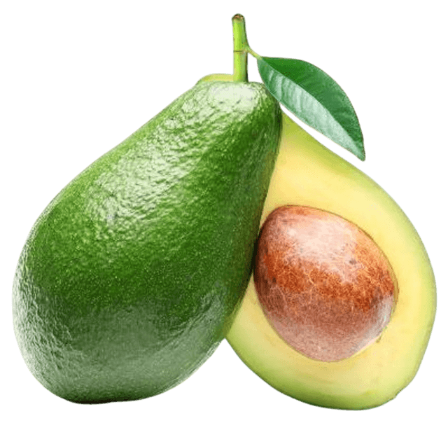 Bacon avocado variety