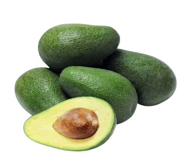Fuerte avocado variety