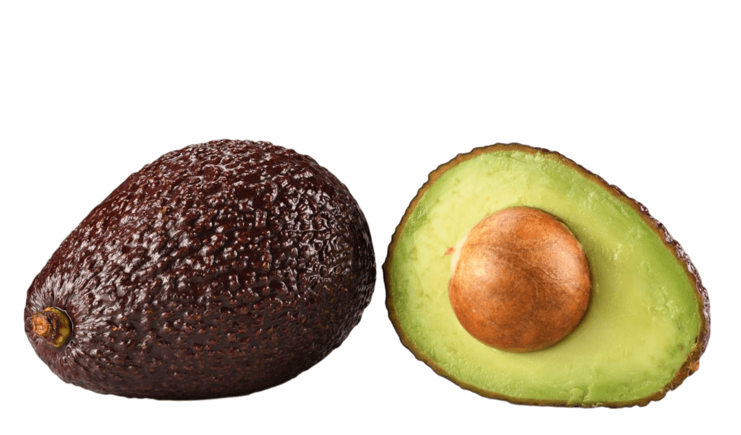 Premium Hass avocado variety